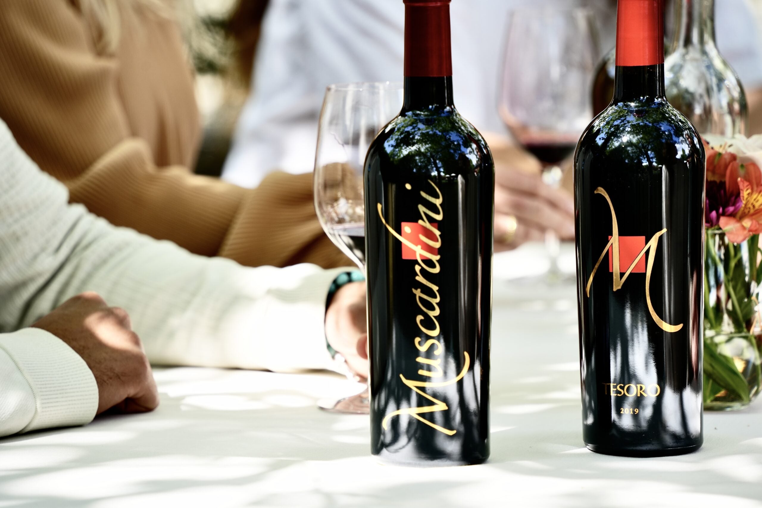 Red Wine Lovers Dream: Curated Collection of Muscardini Wines
