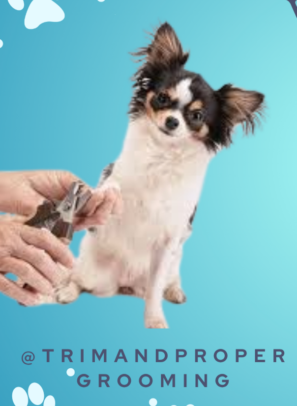 Six Nail Trimming Services at Trim & Proper Grooming