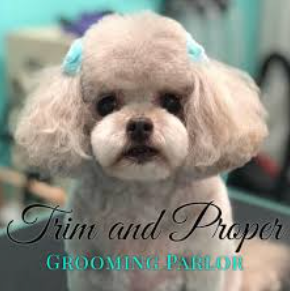 Six Nail Trimming Services at Trim & Proper Grooming