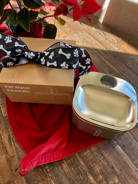 Stainless Steel Pet Water Fountain