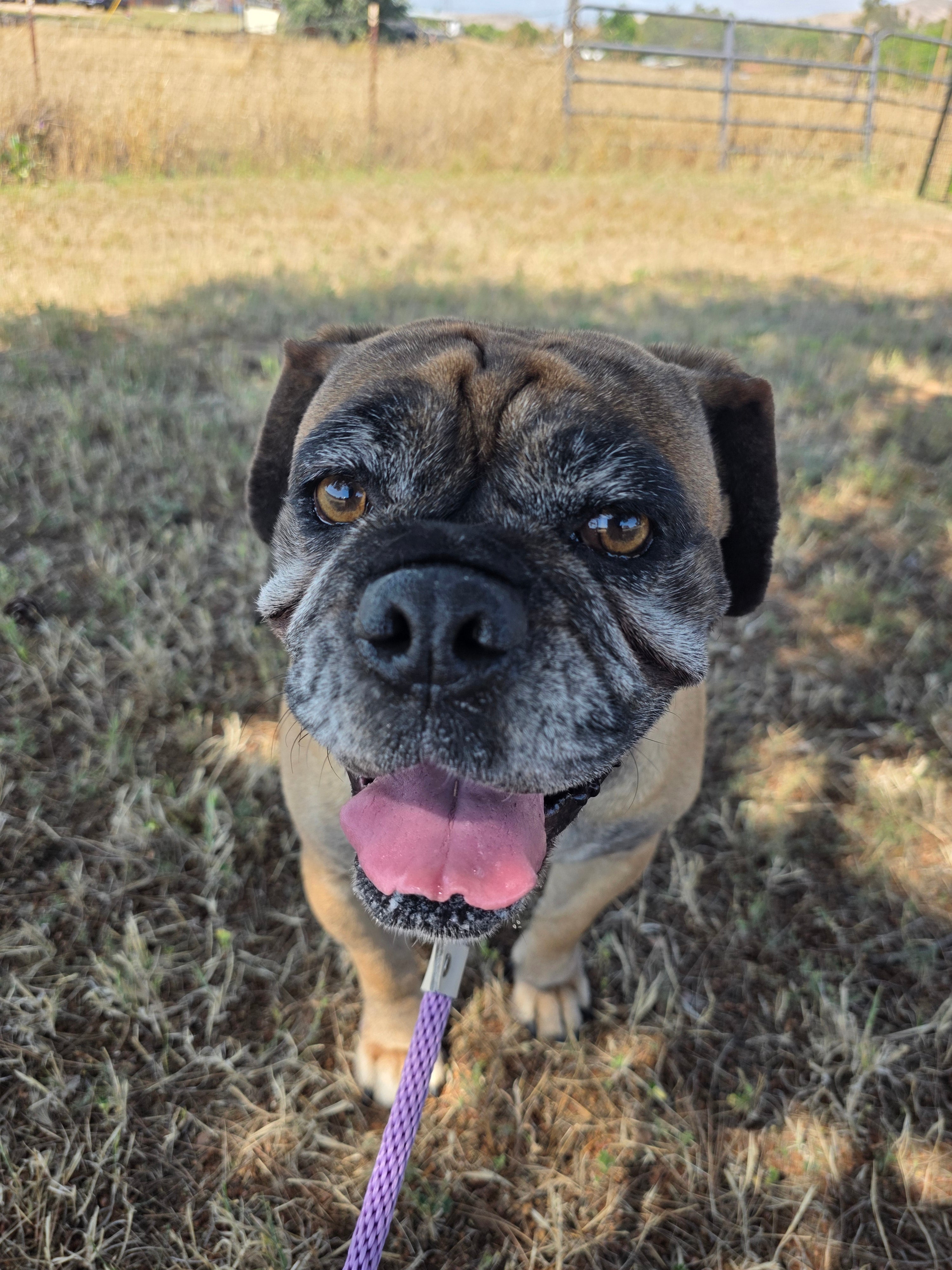 Dora