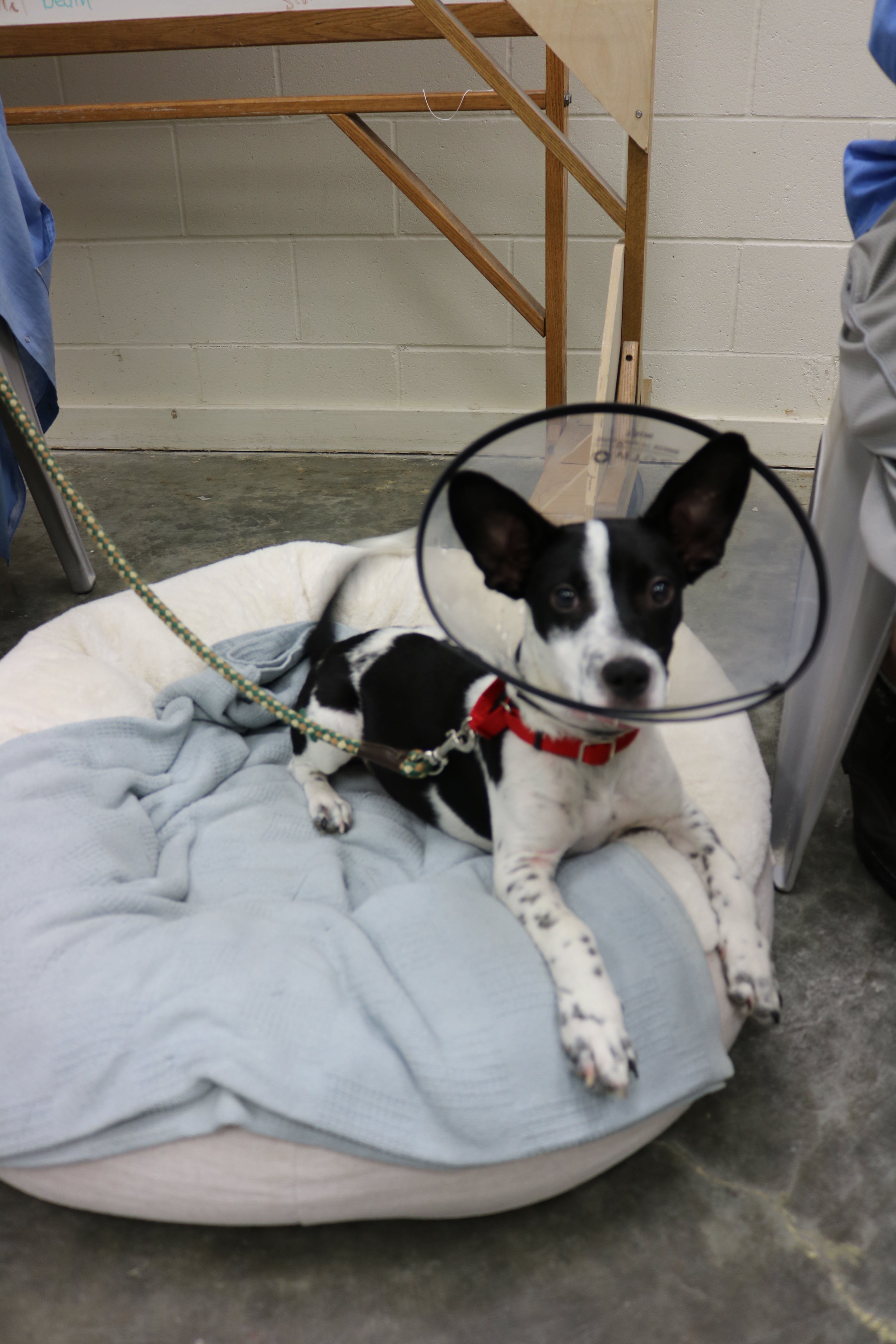 HAPPY