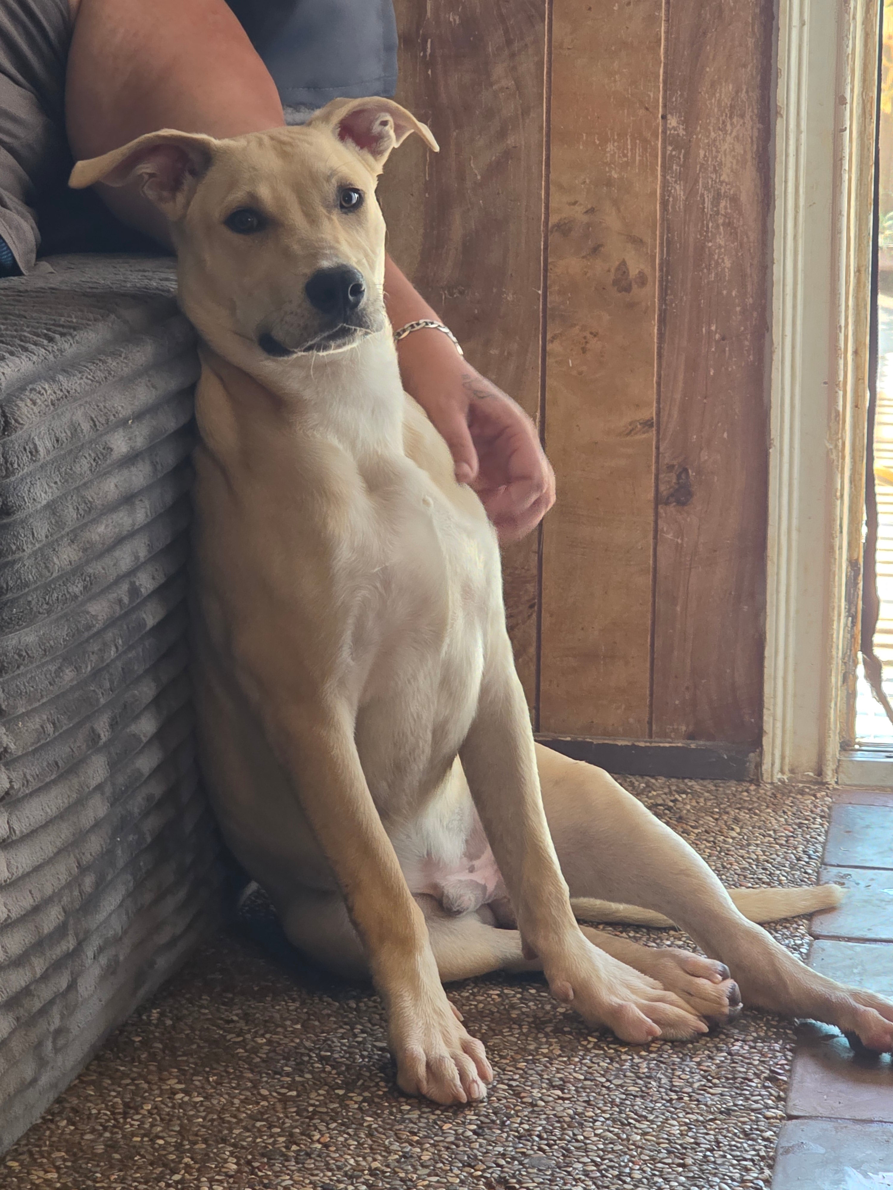 Chico