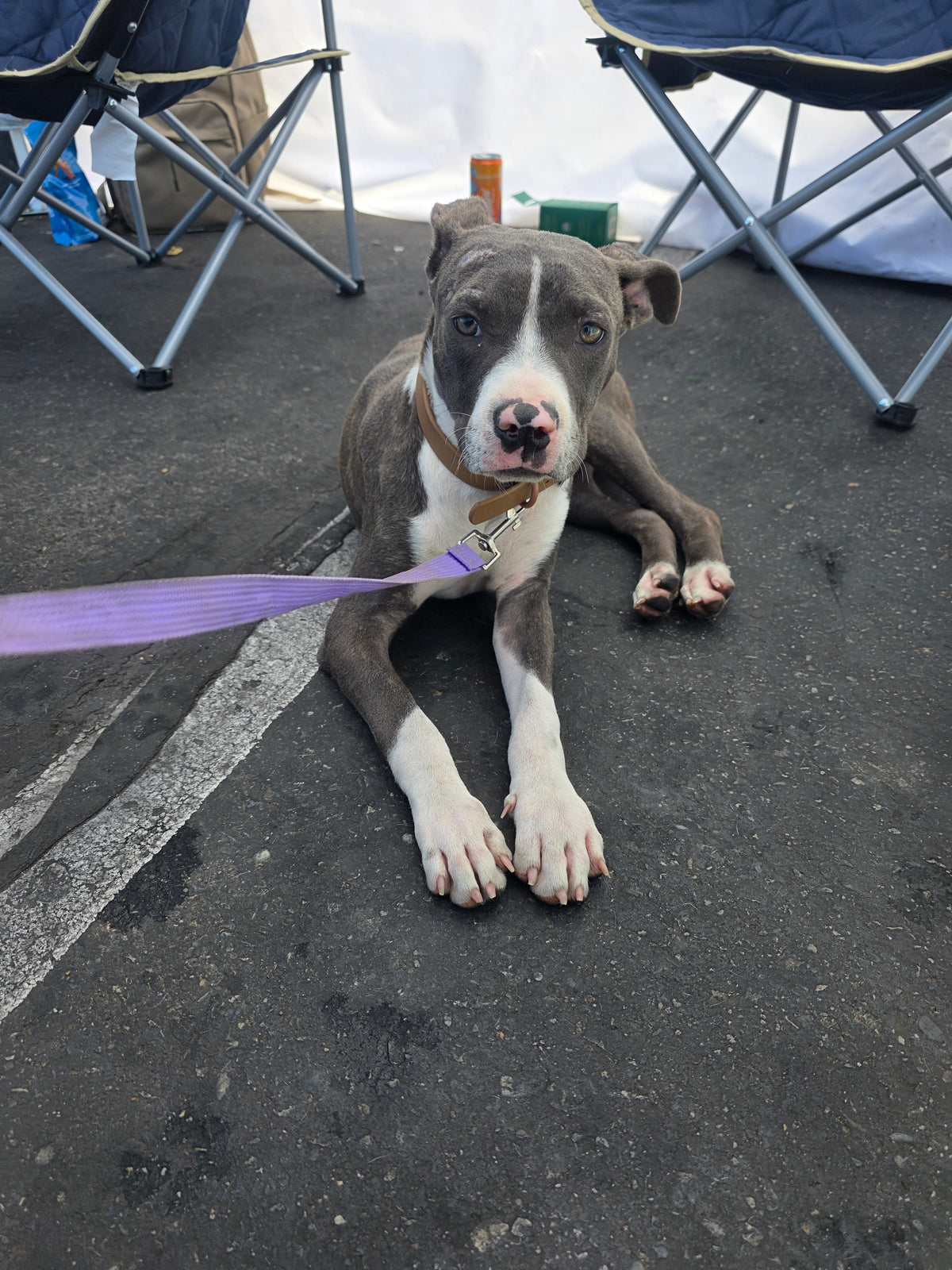 Delilah