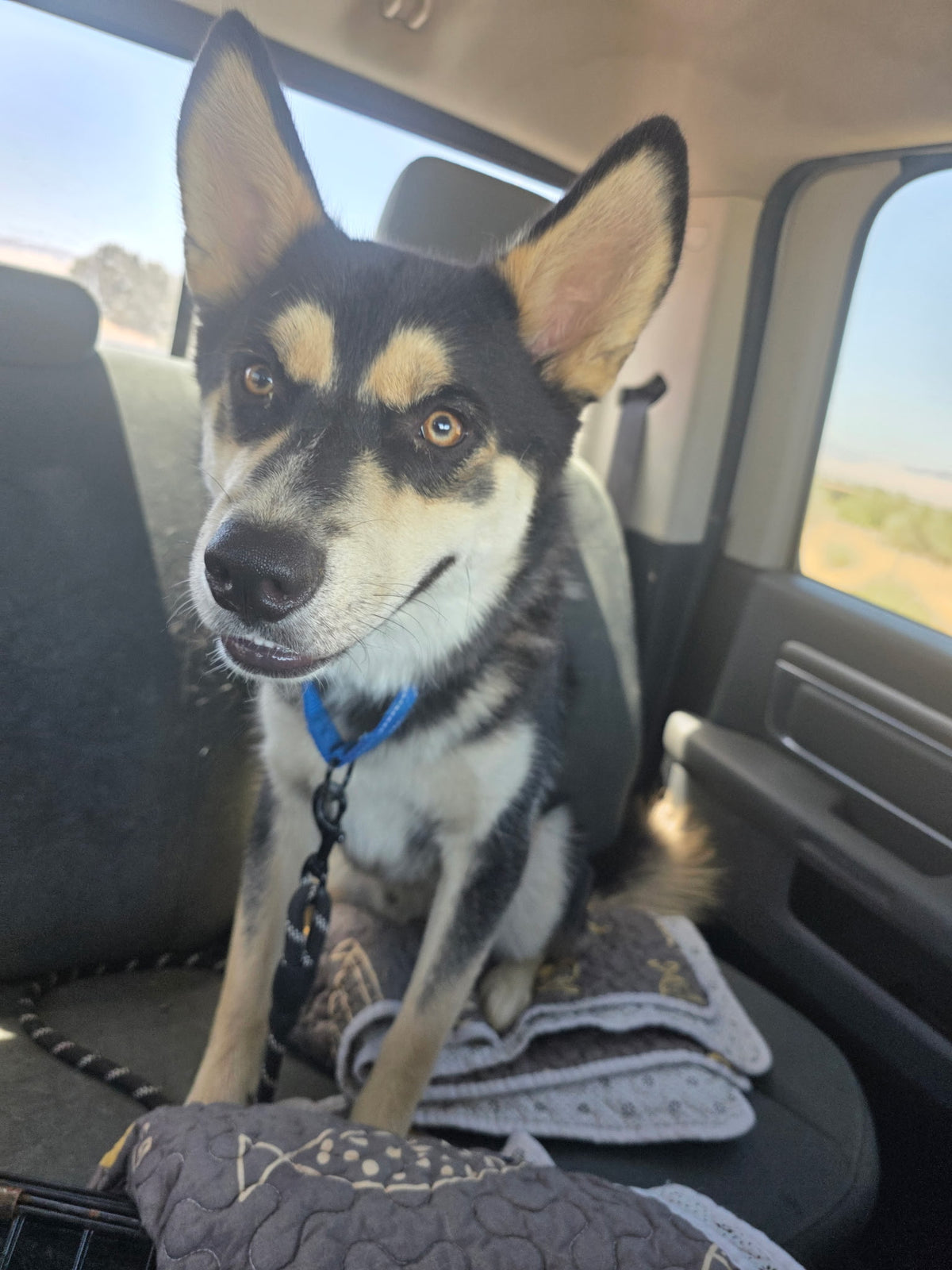 Benji