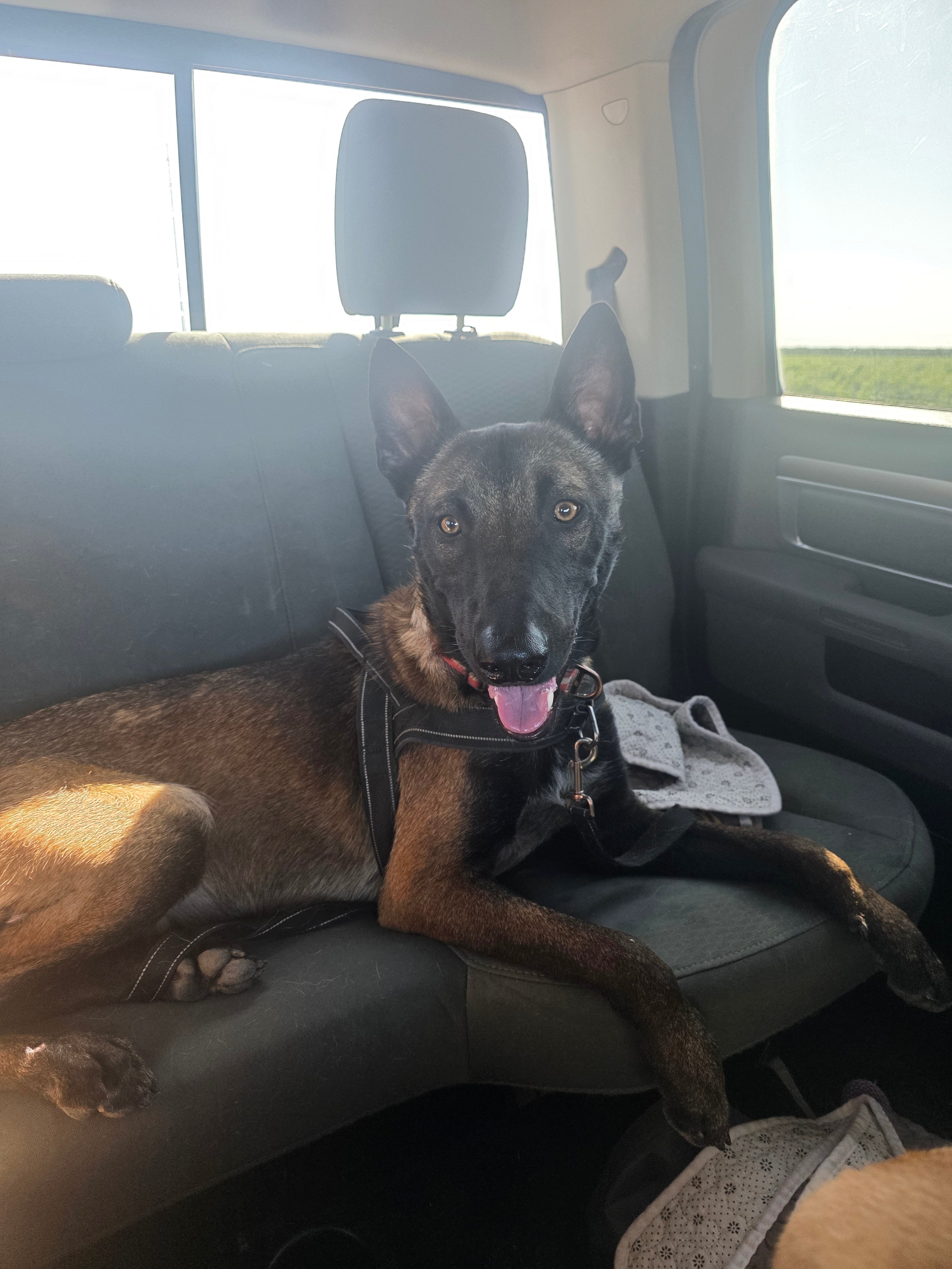 Jax