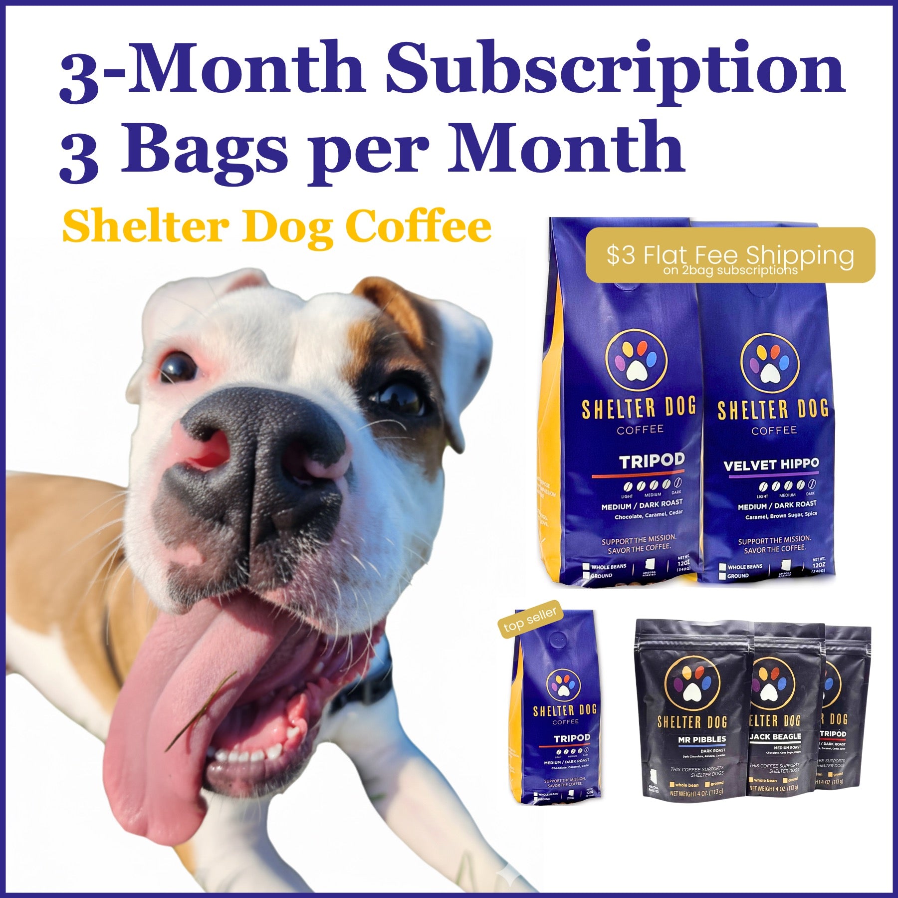 3-Month Subscription of Shelter Dog Coffee