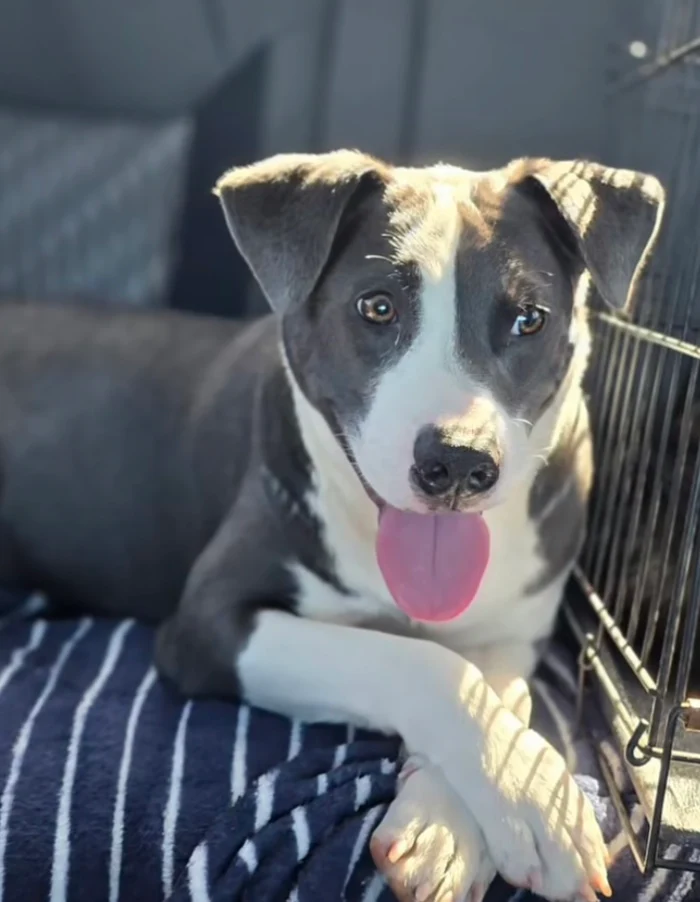 Trial Product With Shipping