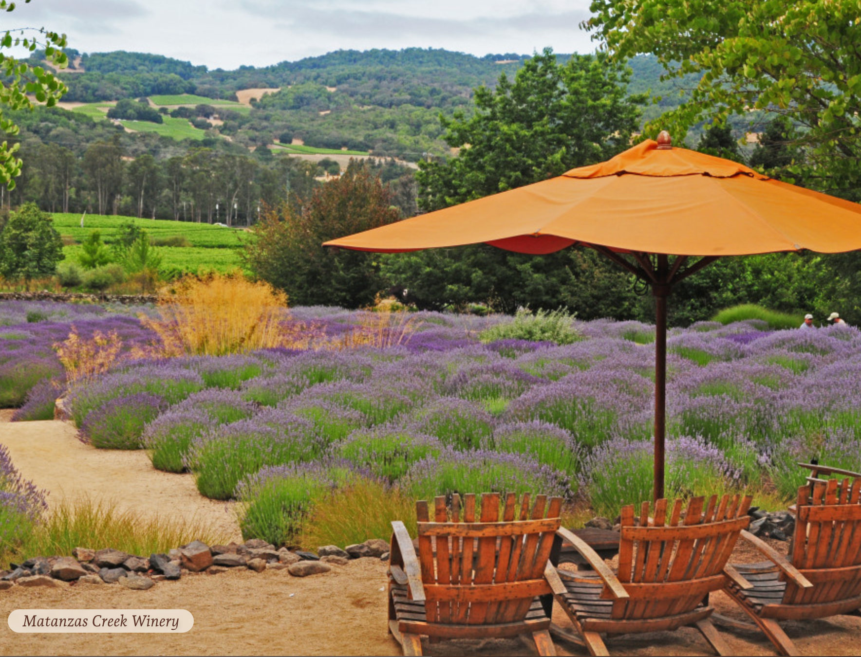 Estate Tasting for Four at Matanzas Creek Winery