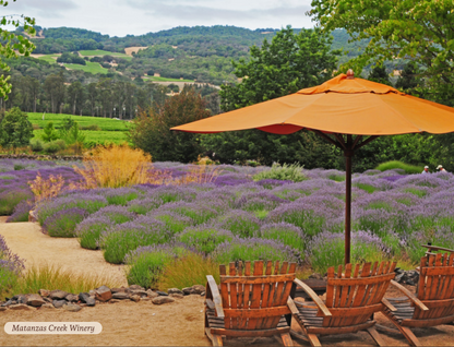 Estate Tasting for Four at Matanzas Creek Winery