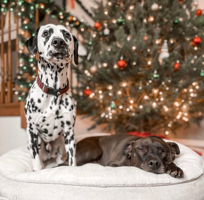 Madison Portier Luxury Orthopedic Support Dog Bed - LARGE