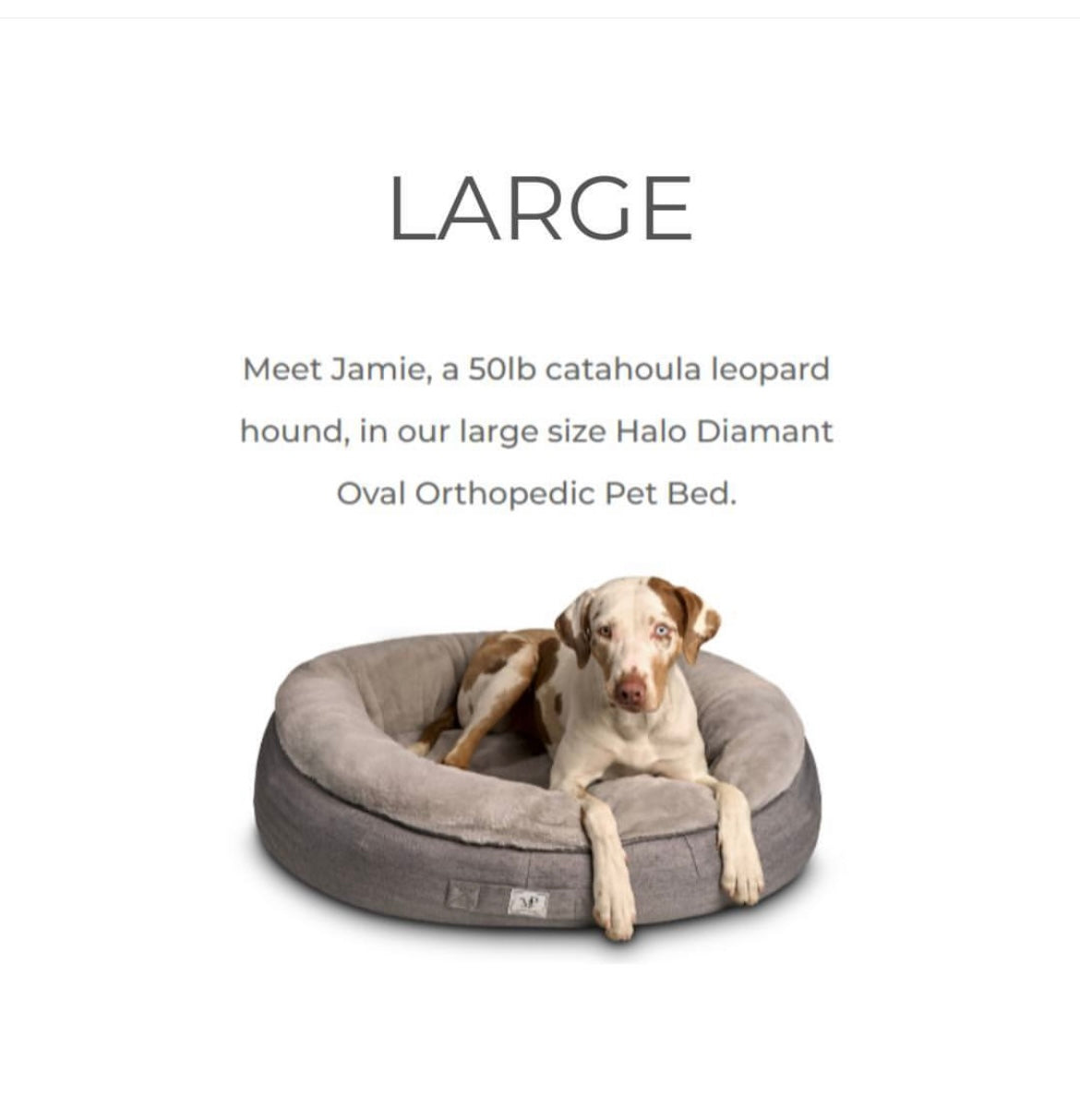 Madison Portier Luxury Orthopedic Support Dog Bed - LARGE