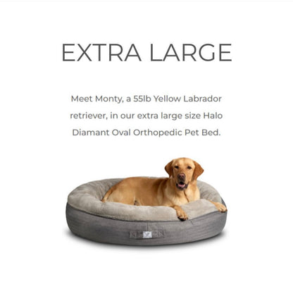 Madison Portier Luxury Orthopedic Dog Bed - X LARGE