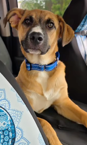 Oliver