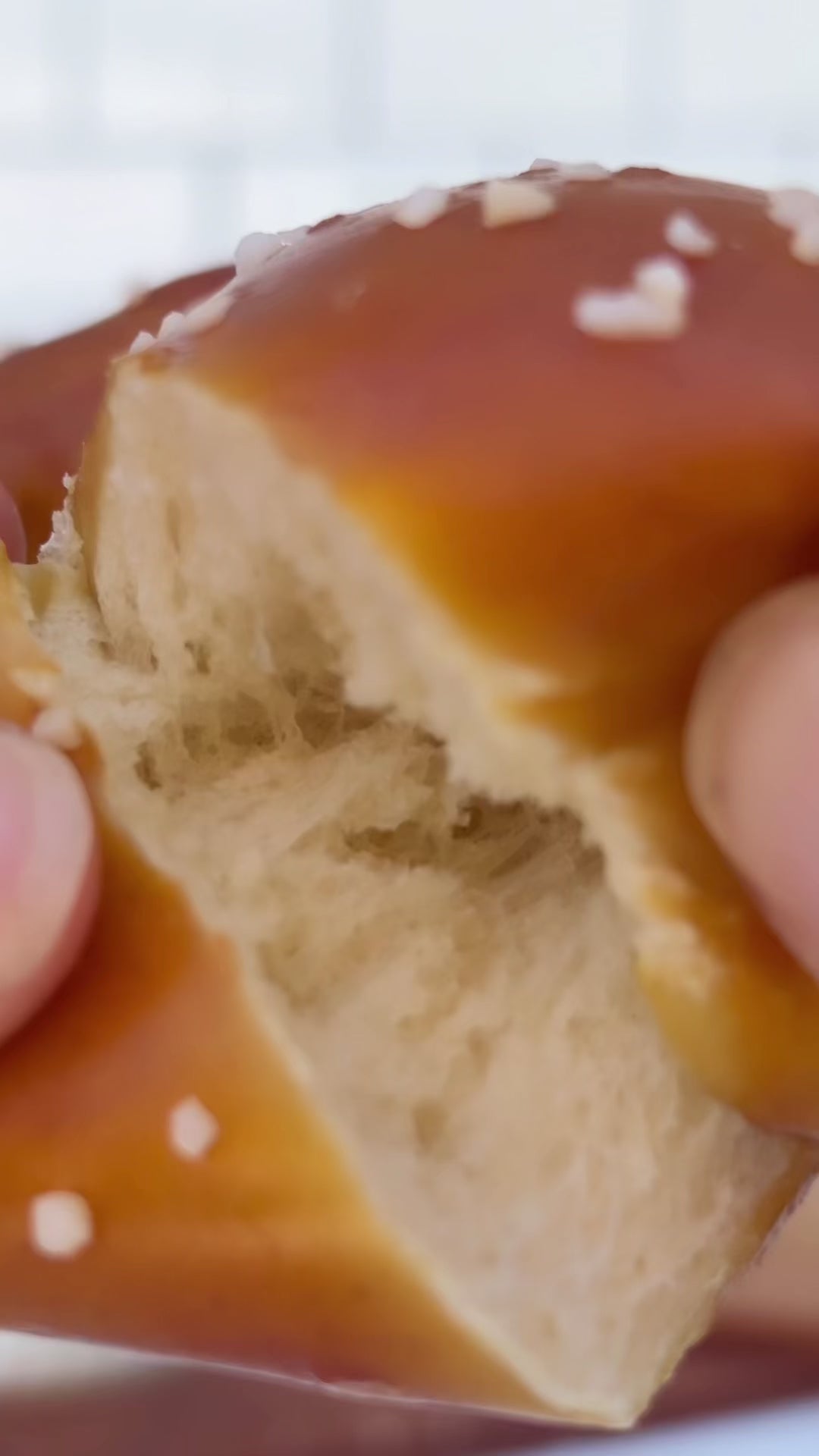 One Dozen Pretzels + Mustard Package from Love Park Pretzels