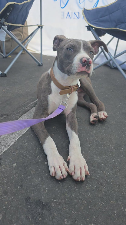 Delilah