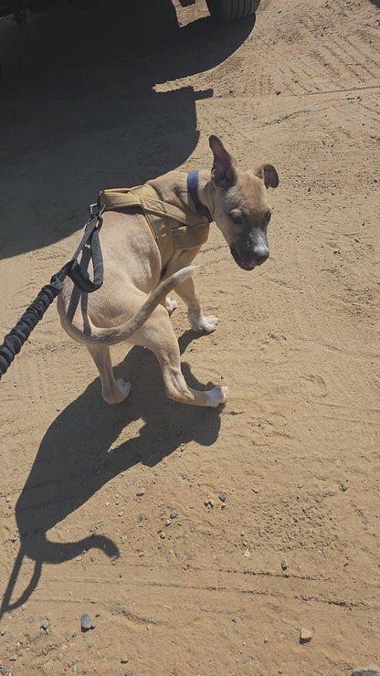 FIDO