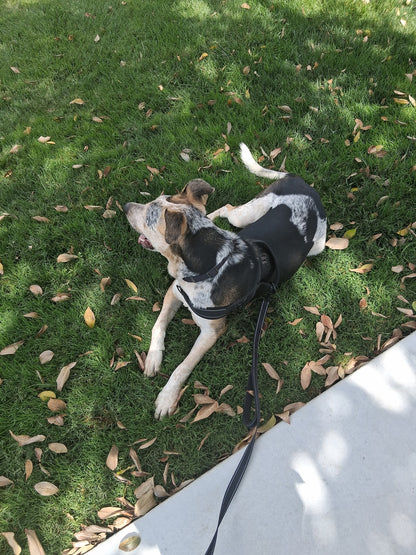 OREO