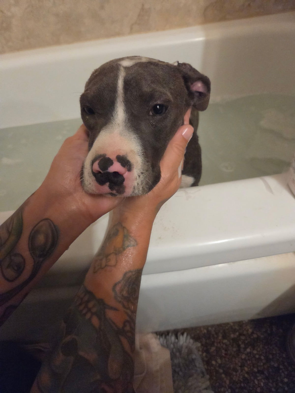 Delilah