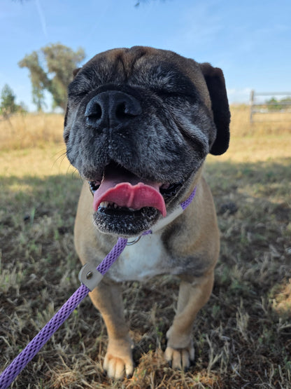 Dora