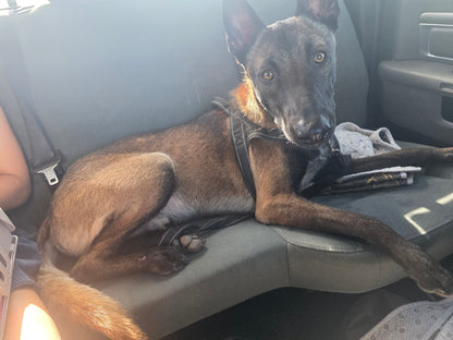 Jax