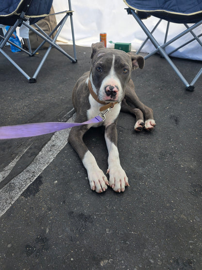 Delilah