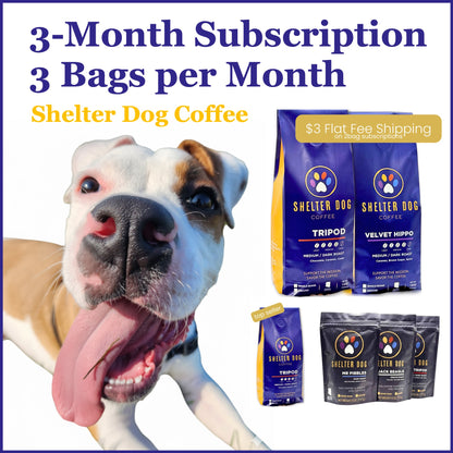 3-Month Subscription of Shelter Dog Coffee
