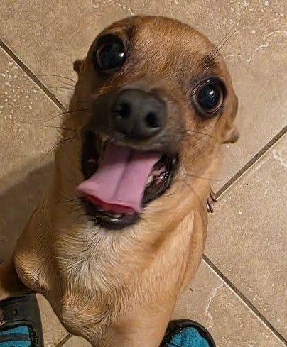 Peanut