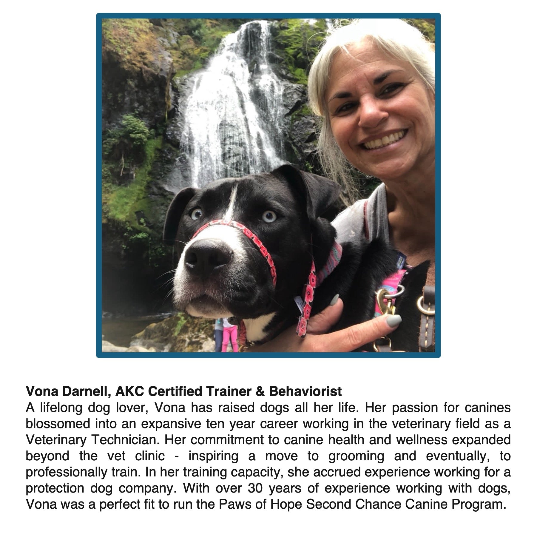 Behavior Consultation Session via Zoom with AKC Certified Dog Trainer Vona Darnell